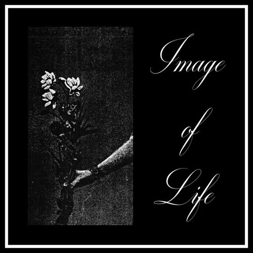 Image Of Life ‎– Attended By Silence, hertz054