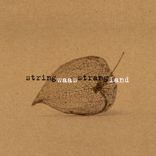StringStrang - Waasland, SEJA 17