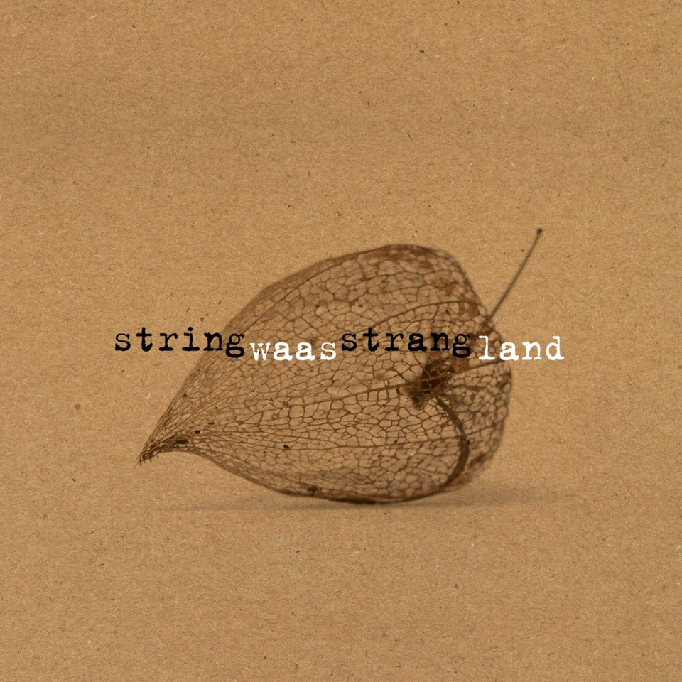 StringStrang - Waasland, SEJA 17