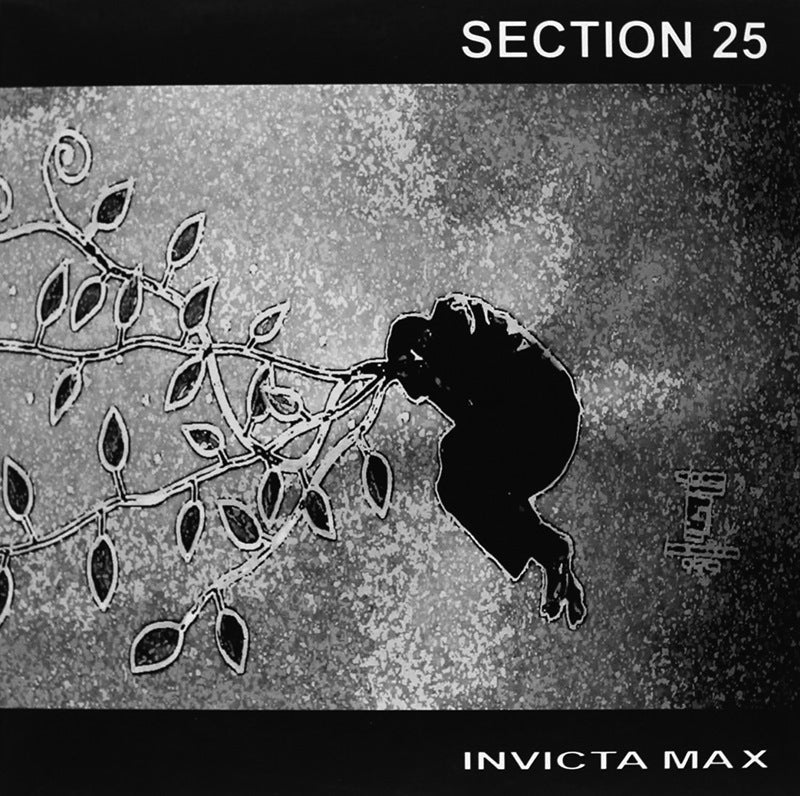 Section 25 - Invicta Max